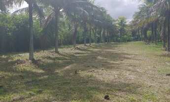 Imagem 3: 4 dormitórios na Rua 17