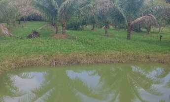 Imagem 6: 4 dormitórios na Rua 17