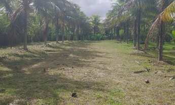 Imagem 7: 4 dormitórios na Rua 17