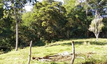 Imagem 7: 3 dormitórios na Rodovia Amaral Peixoto