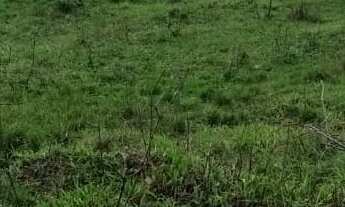 Imagem 4: 833M² de Área Total na Rua Bitote