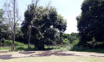 Imagem 5: 4 dormitórios na Rua Sakura