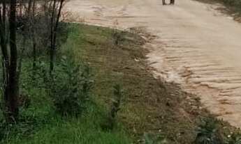 Imagem: 833M² de Área Total na Rua Bitote