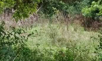 Imagem 3: 833M² de Área Total na Rua Bitote