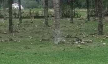 Imagem 5: Na Rua Eurico Gonçalves Cortes