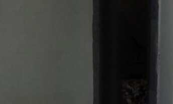 Imagem 2: 2 dormitórios na Rua Pau Brasil