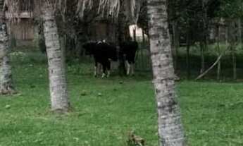 Imagem 3: Na Rua Eurico Gonçalves Cortes