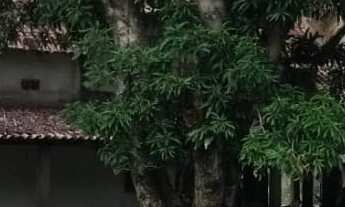 Imagem: Na Rua Eurico Gonçalves Cortes