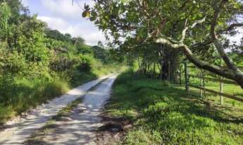 Imagem 3: 3 dormitórios na Rua 12