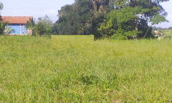 Imagem 3: 450M² de Área Total na Avenida água Branca