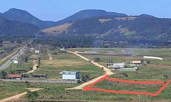 Imagem 6: Na Rodovia Amaral Peixoto