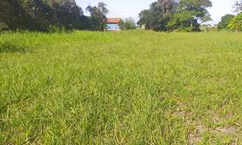 Imagem 2: 450M² de Área Total na Avenida água Branca