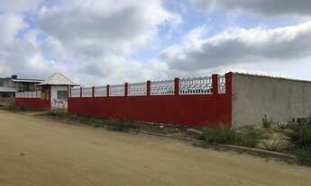 Imagem: 10000M² de Área Total na Rua Maria Angélica