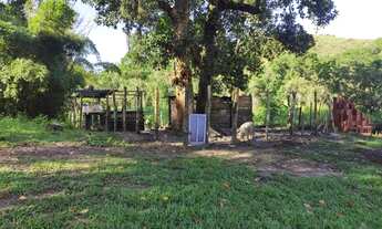 Imagem 5: 3 dormitórios na Rua 12