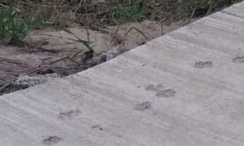 Imagem: 600M² de Área Total na Rua Da Barra