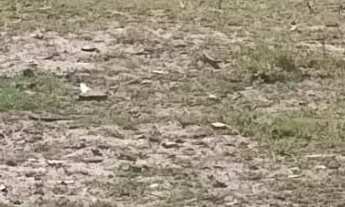 Imagem: 450M² de Área Total na Avenida Do Canal