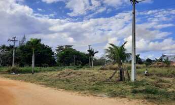 Imagem: 600M² de Área Total na Rodovia Amaral