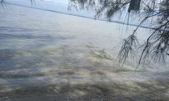 Imagem 4: 2 dormitórios na Rua Da Felicidade