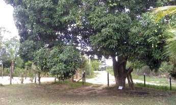 Imagem 5: 4 dormitórios na Rua Florentina Cruz