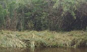 Imagem 7: 4 dormitórios na Rua Florentina Cruz
