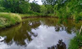 Imagem 2: 4 dormitórios na Rua Florentina Cruz
