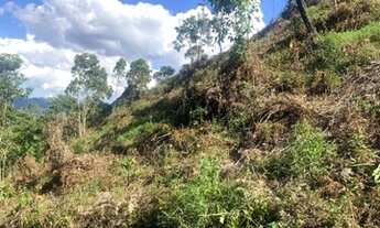 Imagem 2: 203000M² de Área Total