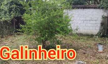 Imagem 4: 4 dormitórios na Rua Florentina Cruz