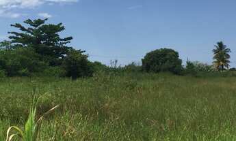 Imagem: 360M² de Área Total na Rua 76