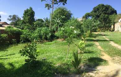 Imagem 2: 1500M² de Área Total na Rua Jacarepiá