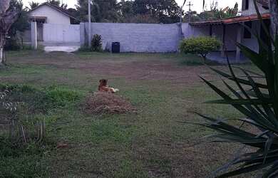 Imagem 5: 450M² de Área Total