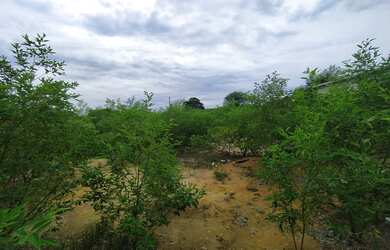 Imagem 4: 420M² de Área Total na Estrada De Jacarepia