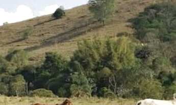 Imagem 3: 4 dormitórios, 1 suítes, 2 banheiro