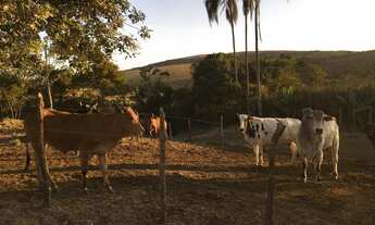 Imagem 7: 2 dormitórios na Estrada Araxá Tapira