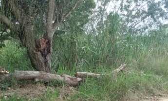 Imagem 4: 450M² de Área Total na Rua Praia Linda