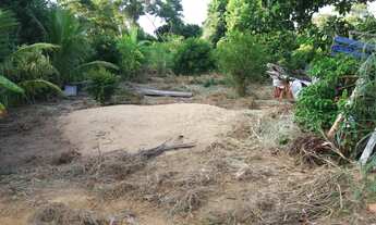 Imagem: Na Rua Plínio Pereira