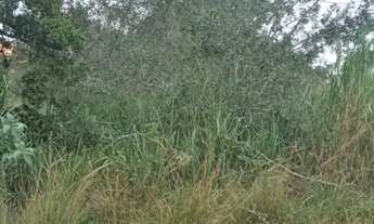 Imagem 3: 450M² de Área Total na Rua Praia Linda