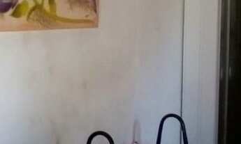 Imagem 7: 3 dormitórios na Rua Sete