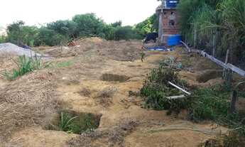 Imagem 2: Na Rua Plínio Pereira