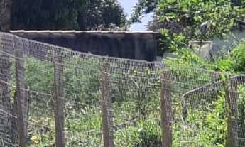 Imagem 6: Na Rua Projetada