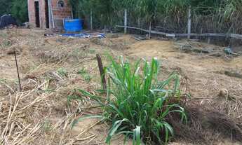 Imagem 6: Na Rua Plínio Pereira