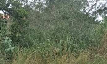 Imagem 6: 450M² de Área Total na Rua Praia Linda