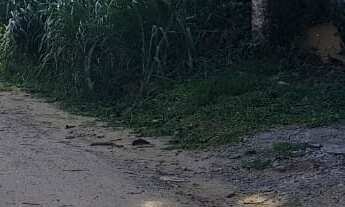 Imagem 3: 3 dormitórios na Rua Atobás