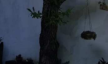 Imagem 6: 3 dormitórios na Rua Atobás