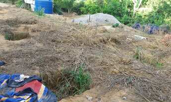 Imagem 5: Na Rua Plínio Pereira