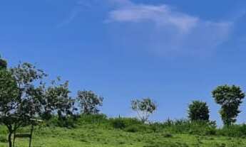 Imagem 4: Na Rua Projetada