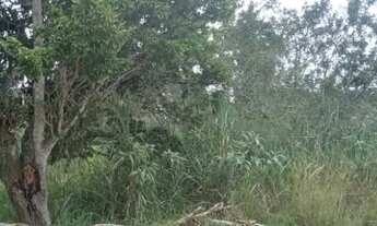 Imagem 7: 450M² de Área Total na Rua Praia Linda