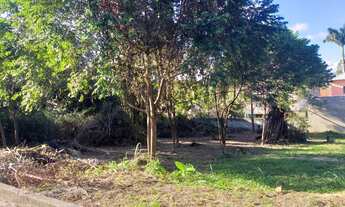 Imagem: 450M² de Área Total na Rua 07