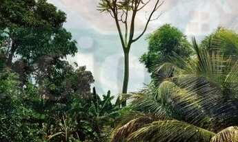 Imagem 7: 2 dormitórios na Rua São João