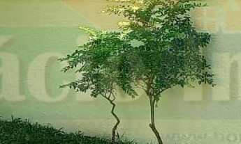 Imagem 6: 2 dormitórios na Rua 79