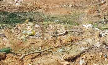 Imagem: 540M² de Área Total na Rua Bernardo Duarte